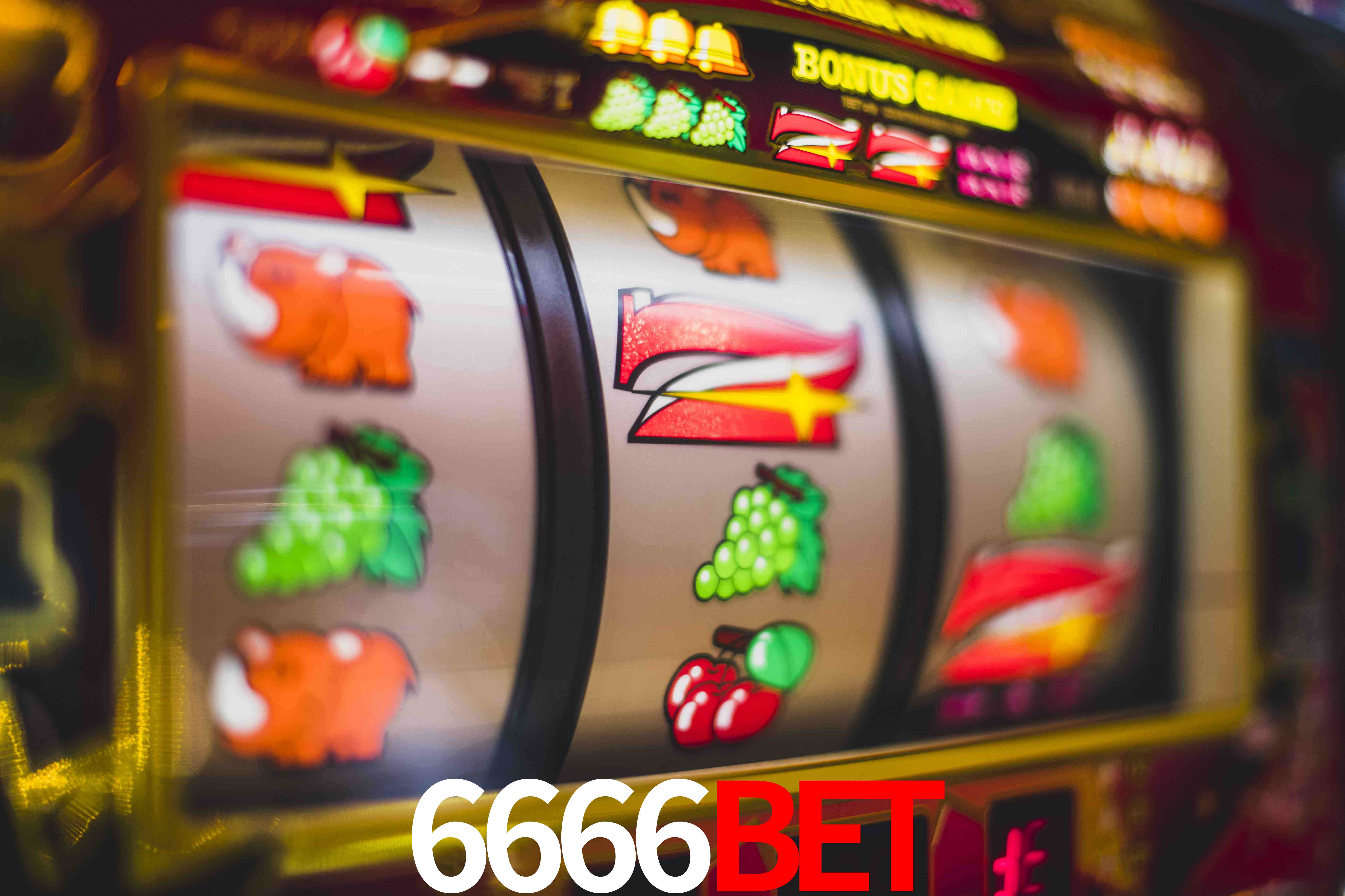 Crash Games Statistics 6666bet